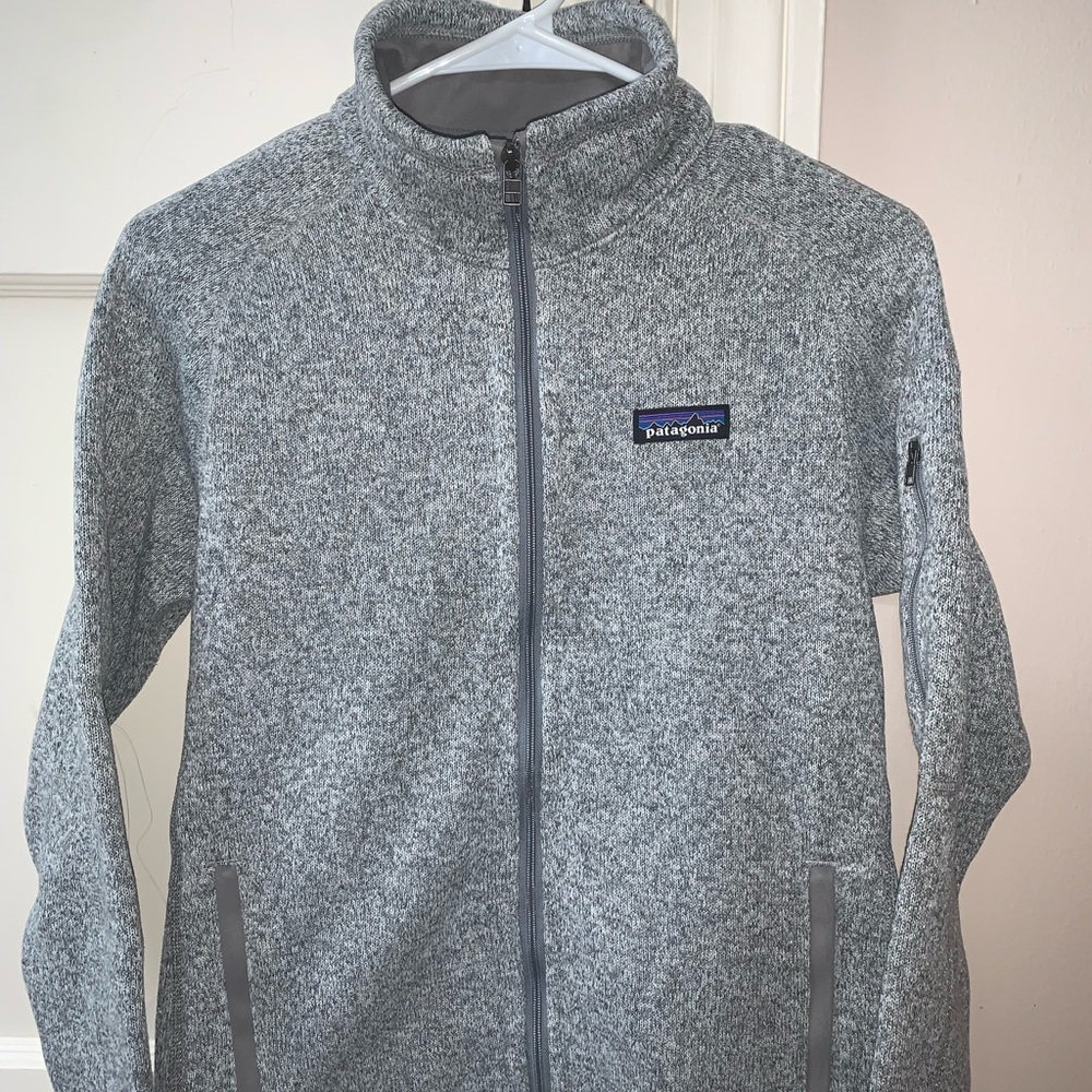 Gray Patagonia zip up jacket.